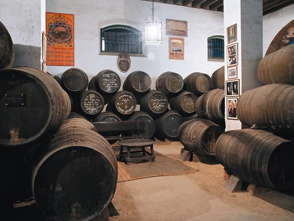 Cave Pedro Romero à Sanlúcar de Barrameda, Cadix (Andalousie)
