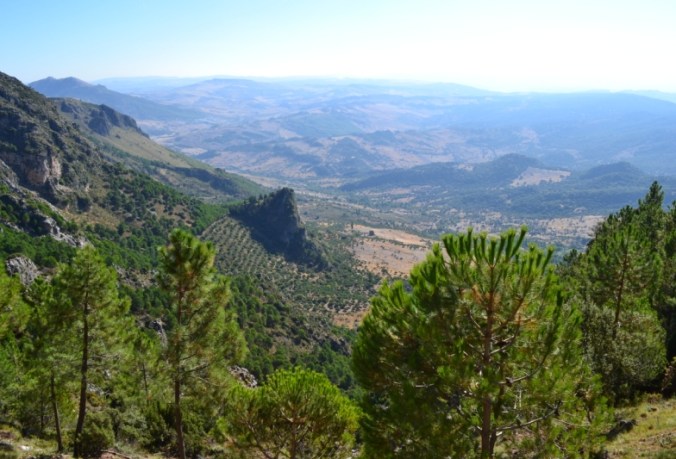 Parc Naturel Sierra de Grazalema, Cadix (Andalousie)
