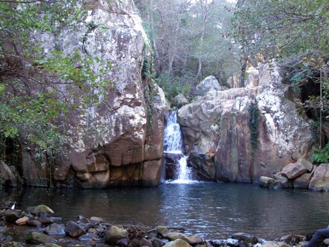Parc Naturel des Alcornocales, Cadix (Andalousie)